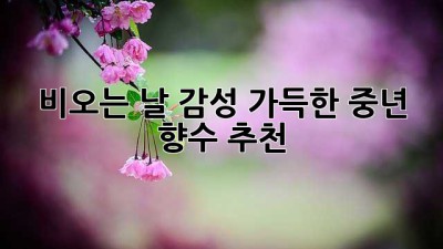 비오는 날, 감성 가득한 중년 향수 추천 ✨